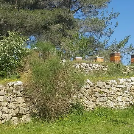 Charmant Appartement Neuf Le Taoume Marseilles Exterior foto