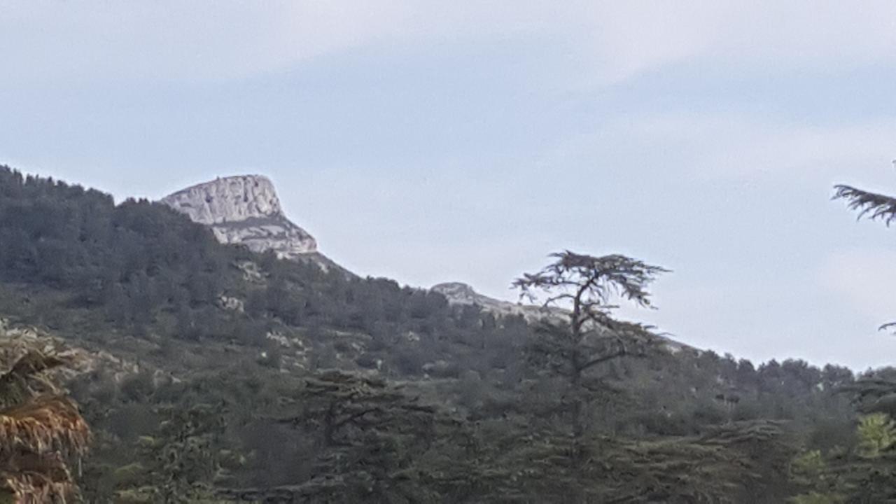 Appartement Neuf Le Taoume