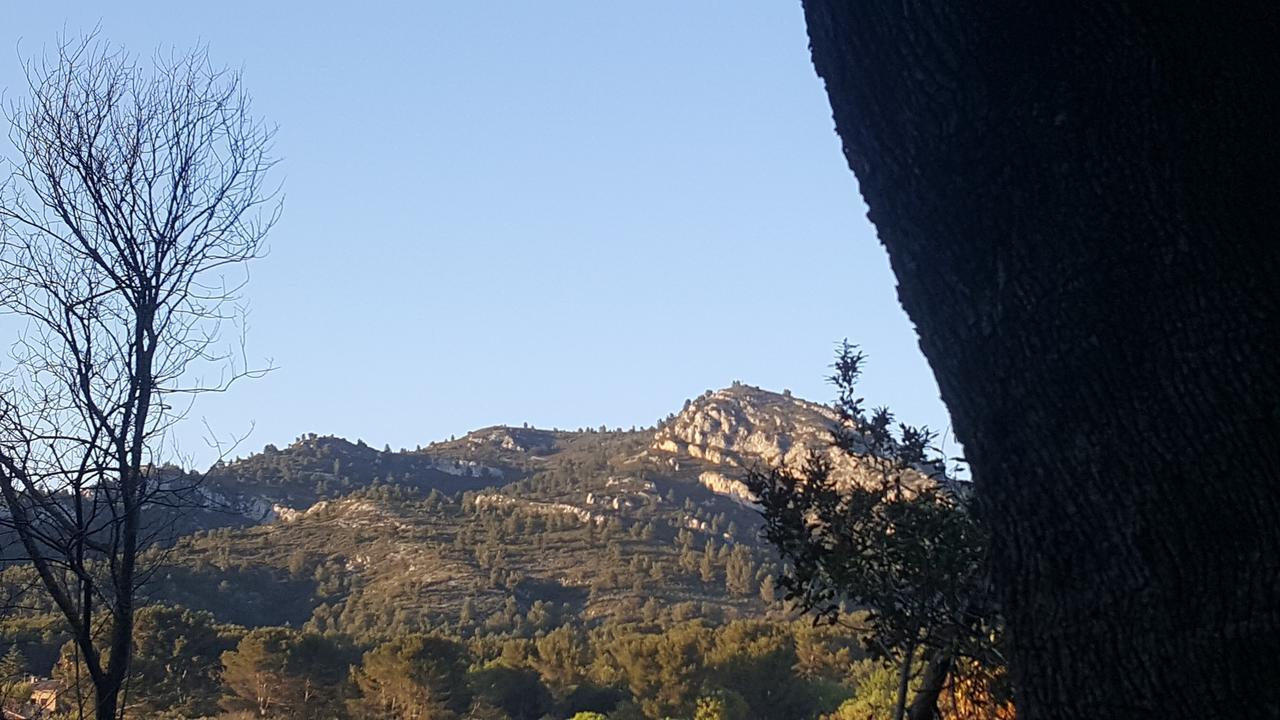 Neuf Le Taoume